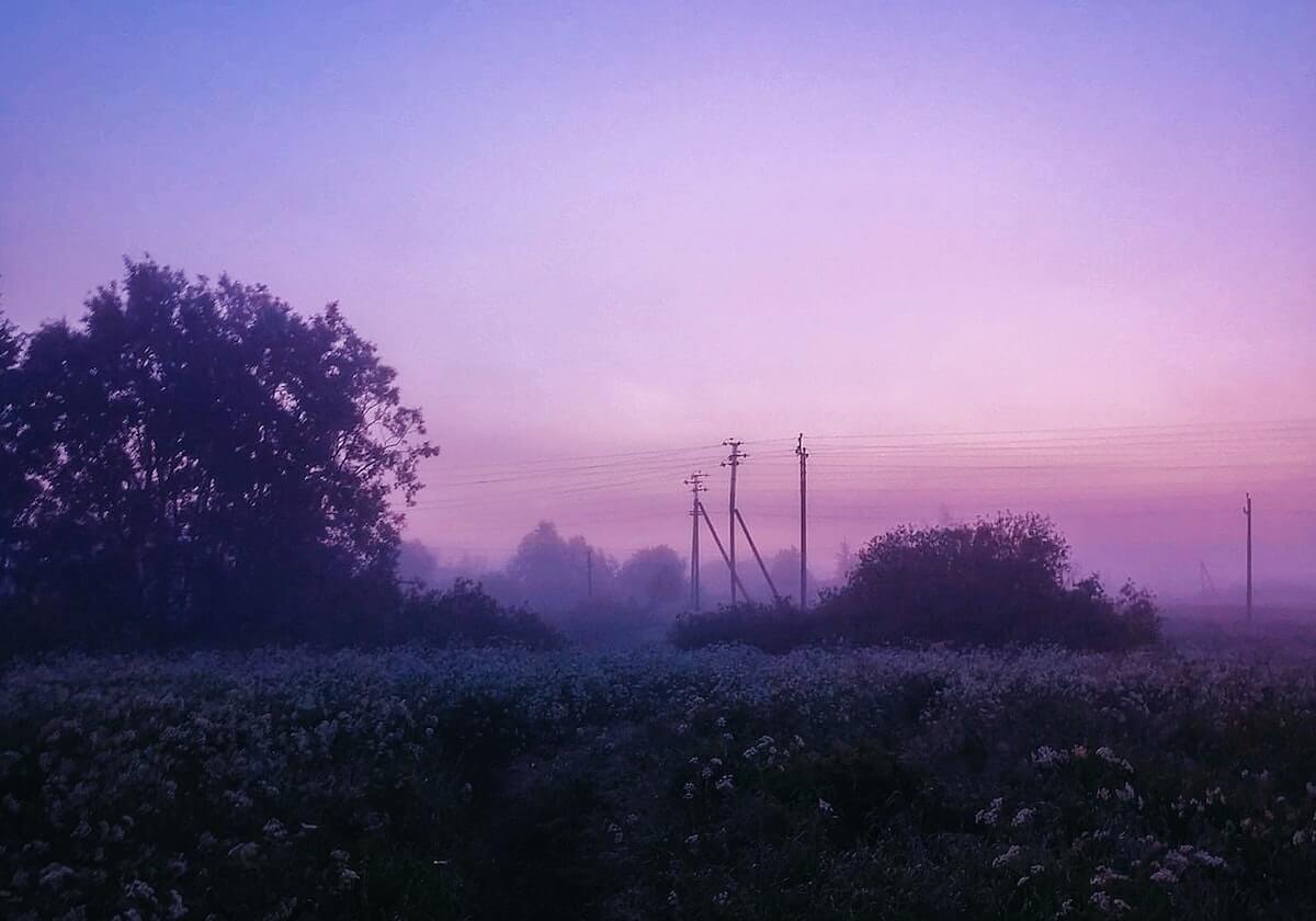 米乐官网入口：开启安全高效的娱乐新纪元